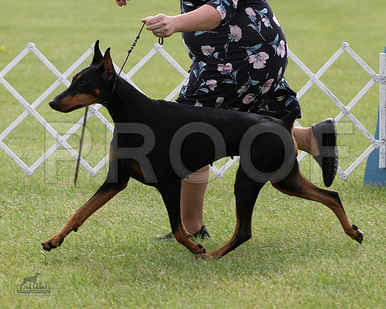 1.RDP_8685