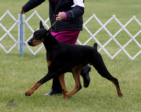 1.RDP_8432