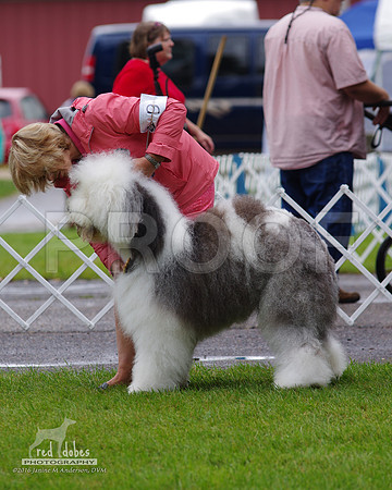 1.IMGP5962