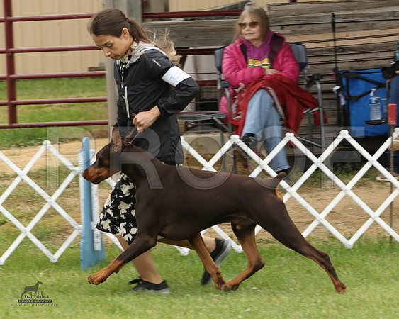 1.RDP_5664