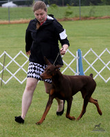 1.RDP_8463