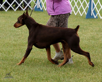 1.RDP_8521