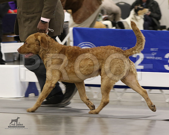 1.RDP_9800