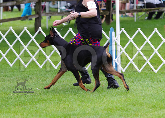 1.IMGP4758