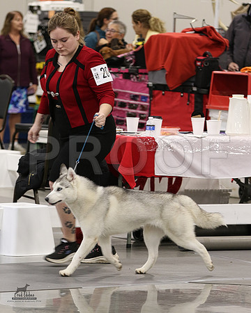 1.RDP_8306