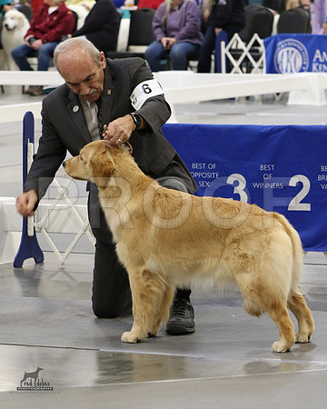 1.RDP_8488