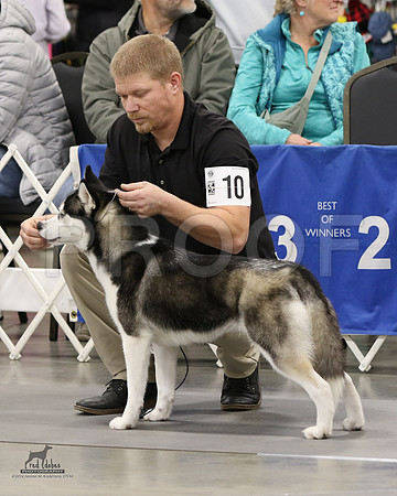 1.RDP_8267