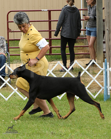 1.RDP_6997