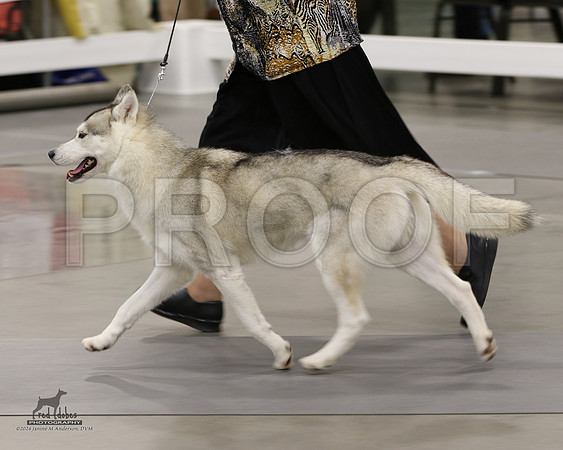 1.RDP_8205