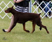 1.RDP_8460