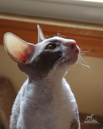 1.IMGP4128
