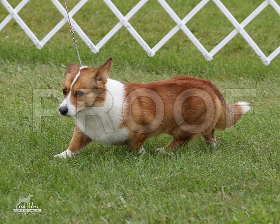 2.RDP_5867