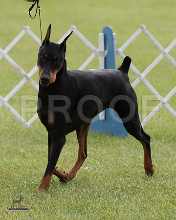 1.RDP_8798