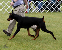 1.RDP_8482