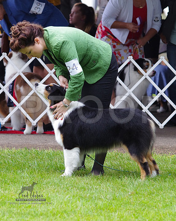 1.IMGP5542