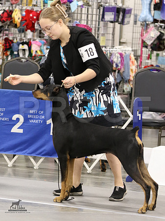 7.RDP_8632