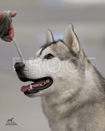 1.RDP_8328