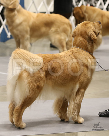 1.RDP_8916
