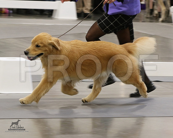 1.RDP_8533